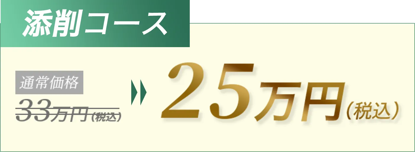 添削コース 通常価格33万円(税込)が25万円(税込)